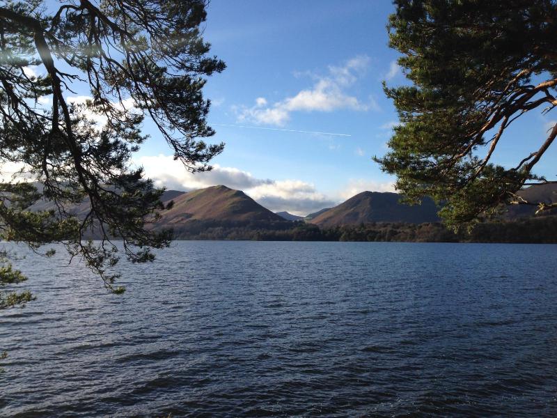 Skiddaw Croft Bed & Breakfast - image 31