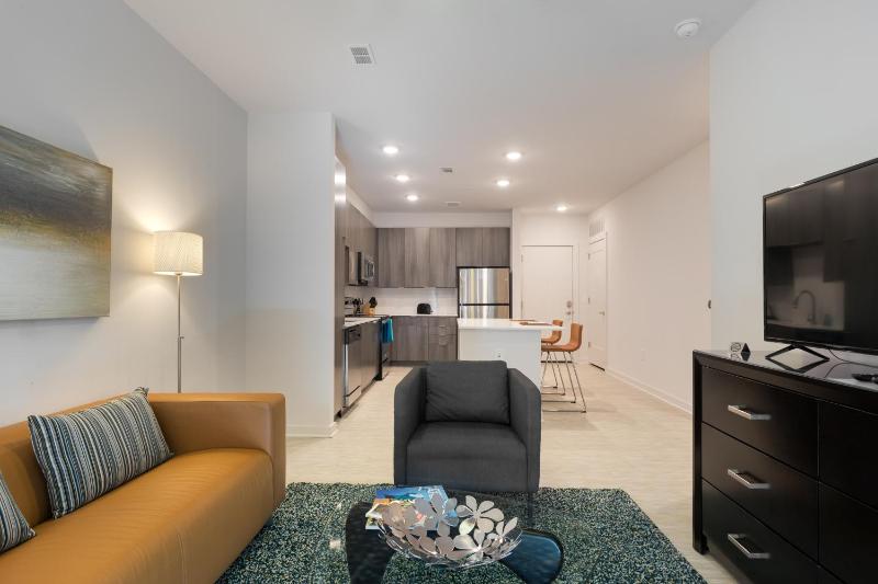 Spectacular Apartments by BCA Furnished Apartments Spec1B 416 A - image 28