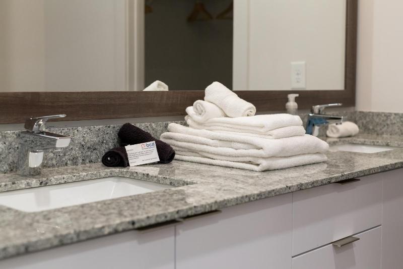 Spectacular Apartments by BCA Furnished Apartments Spec1B 416 A - image 43