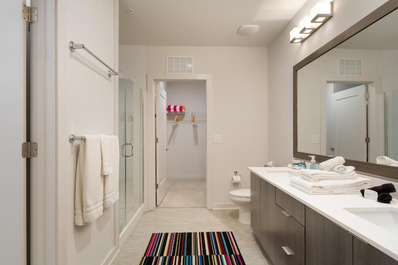 Spectacular Apartments by BCA Furnished Apartments Spec1B 418 B - image 22
