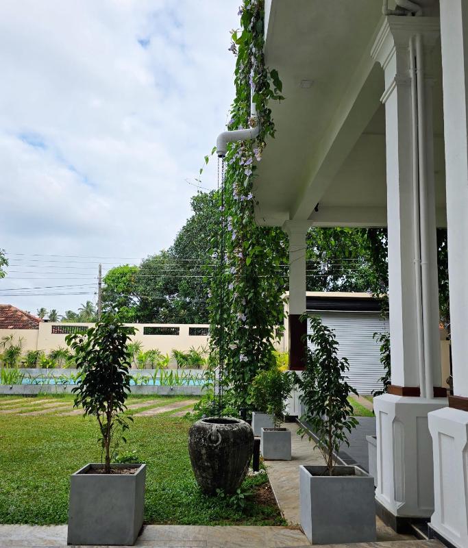 TROPICANA NEGOMBO boutique hotel - image 48