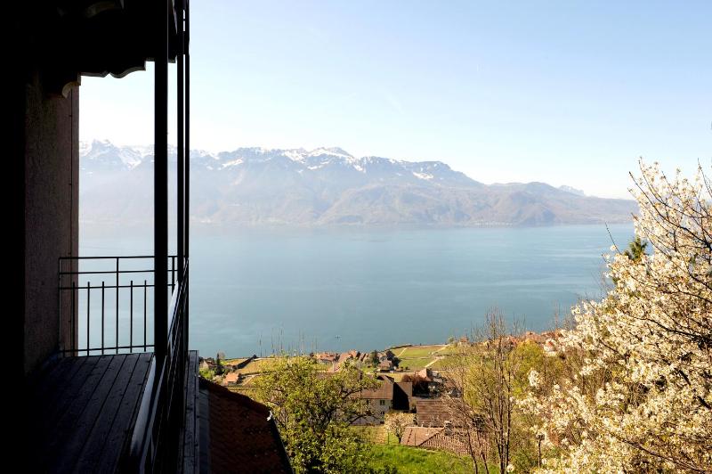 Double Room with Balcony & Partial Lake View image 2