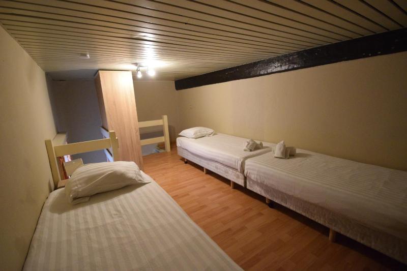 Large One-Bedroom Apartment image 3