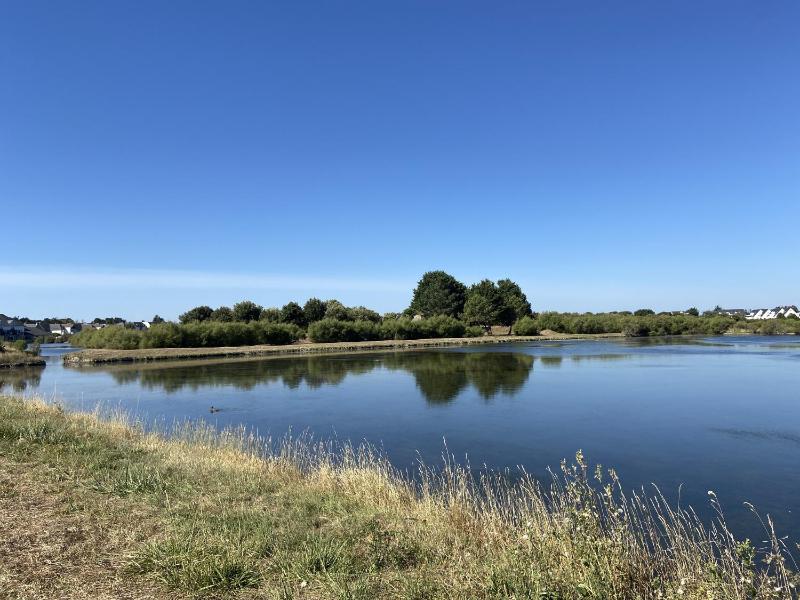 MASSALINE - Jardin clos Plage 1km - K38 - image 16