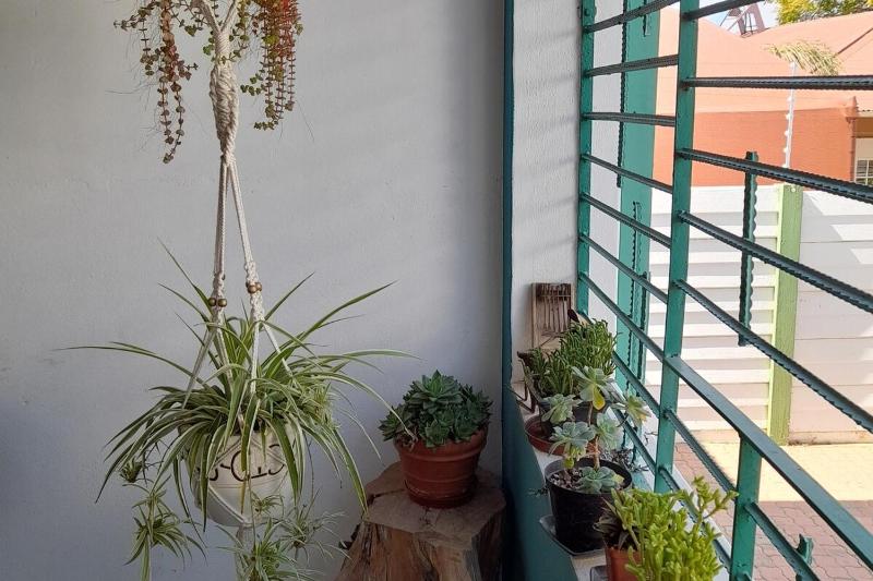 Cozy arty apartment in walking distance of CBD - image 5