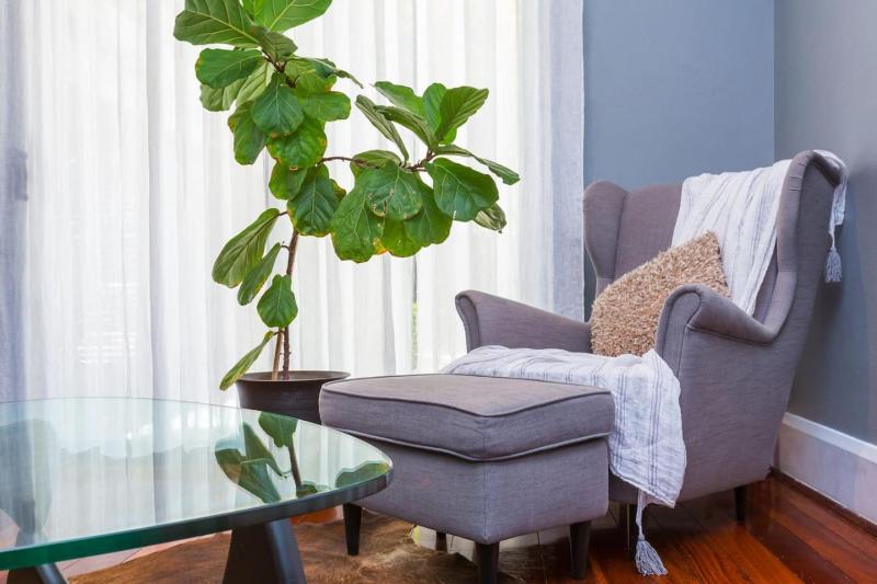 Fusion of 20th century charm and modern convenience - image 9