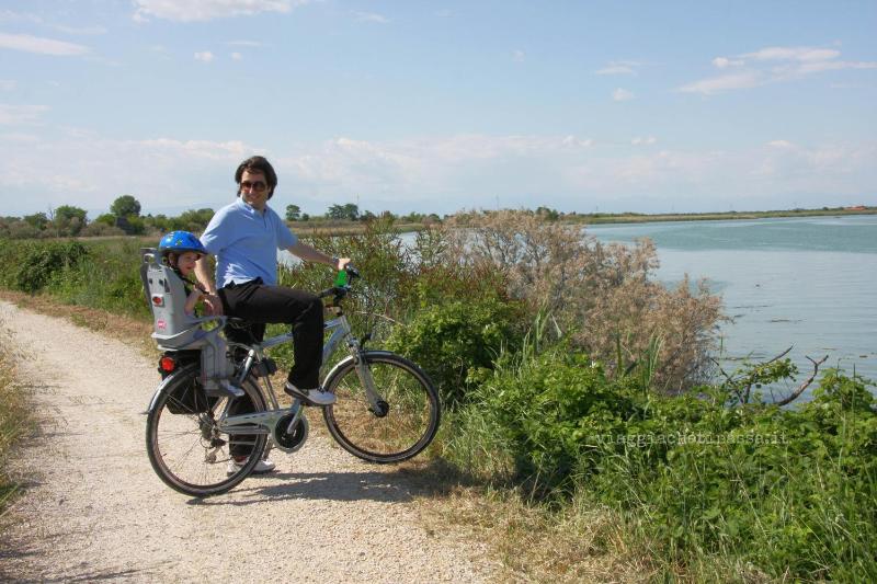 Appartamento Frontemare Azzurra - image 7