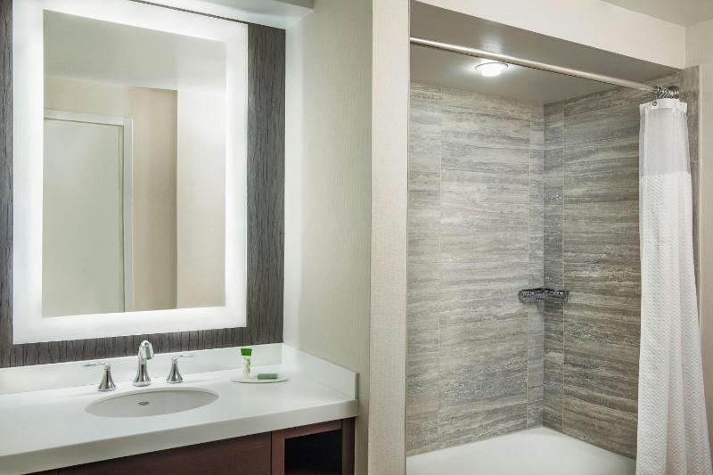 Tremont King Room image 3