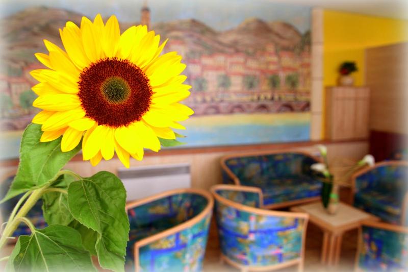 Hotel Menton Riviera - image 15