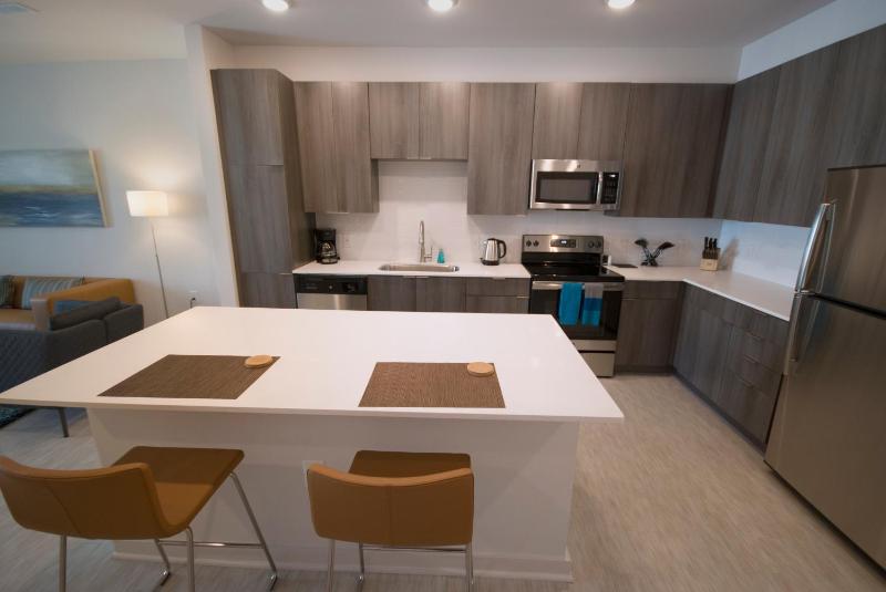 Spectacular Apartments by BCA Furnished Apartments Spec1B 420 C - image 19