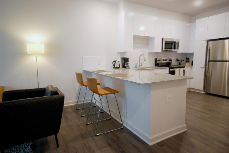 Spectacular Apartments by BCA Furnished Apartments Spec1B 422 D - image 1