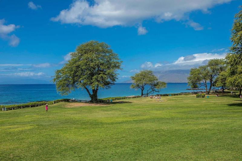 Hale Kamaole 150 - image 4