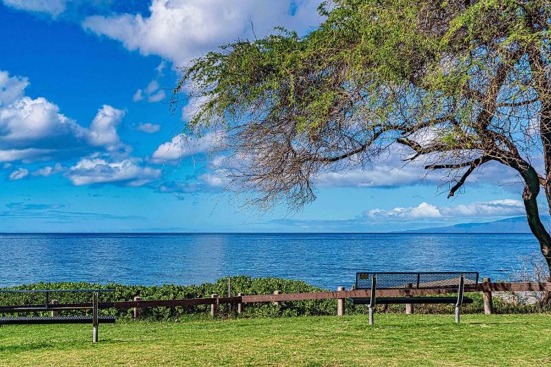 Hale Kamaole 150 - image 11