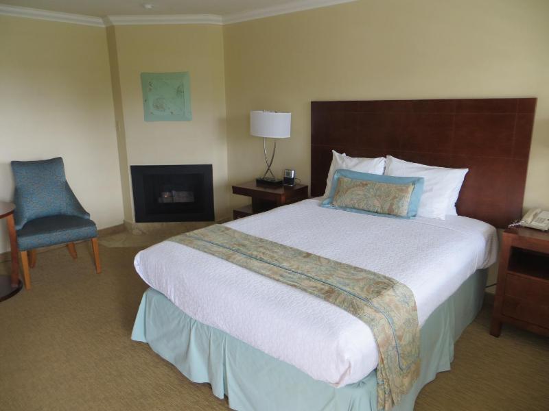 Queen Room with Fireplace image 1