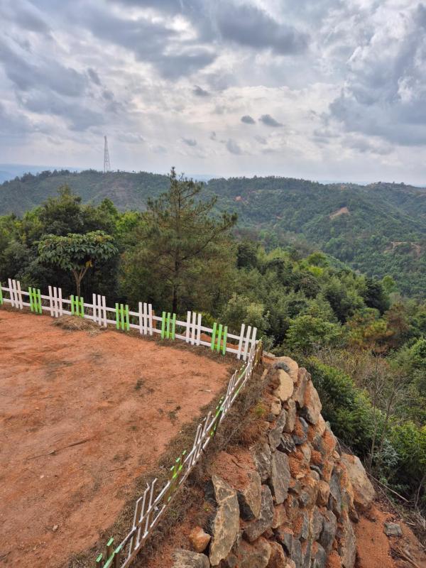 SafarnamaStays Homestay Camping Room Markham Mafhawnlur Meghalaya - image 25