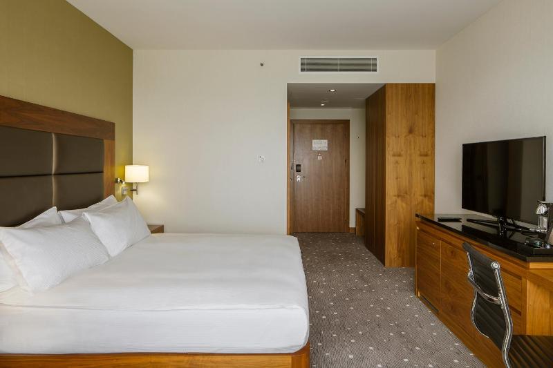 Deluxe King Room with View image 3