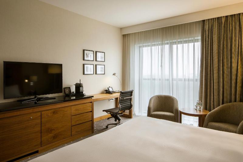 Deluxe King Room with View image 4