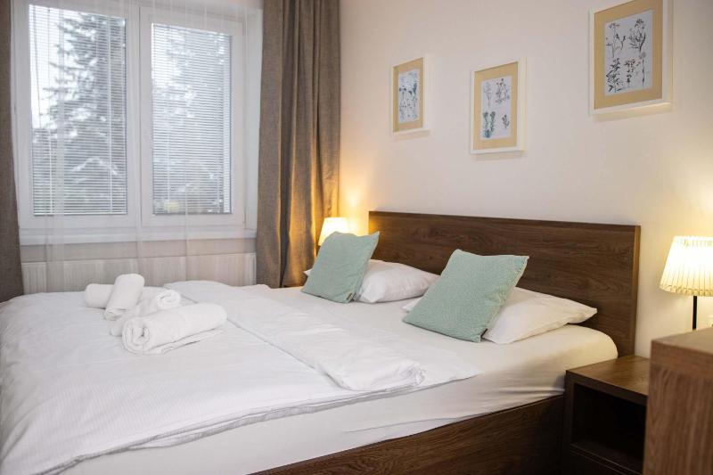 One-Bedroom Apartment (2 - 4 Adults) image 1