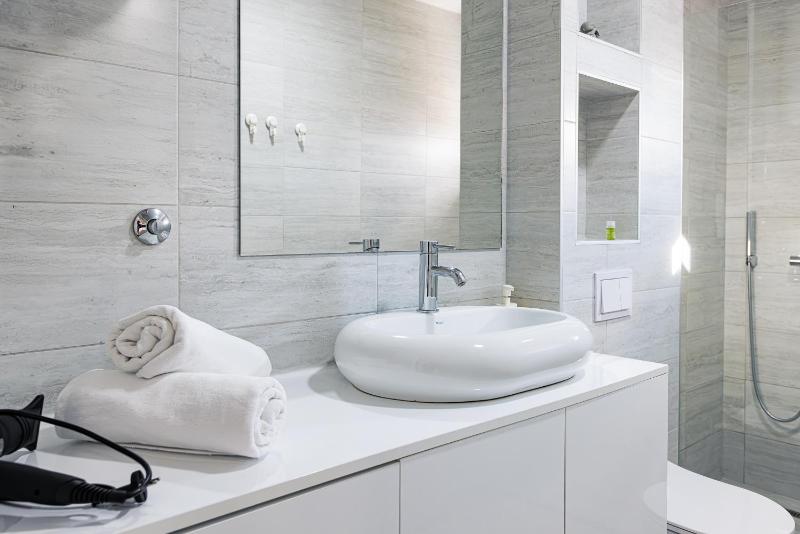 One-Bedroom Apartment image 3