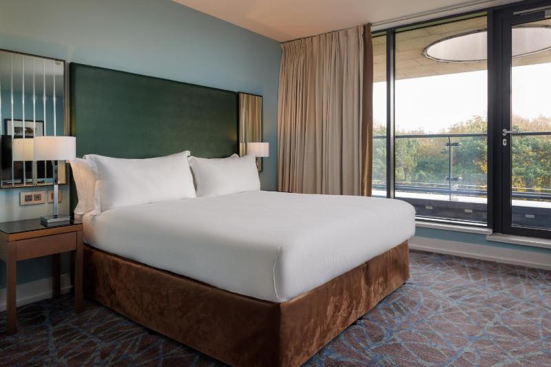 Deluxe King Room image 3