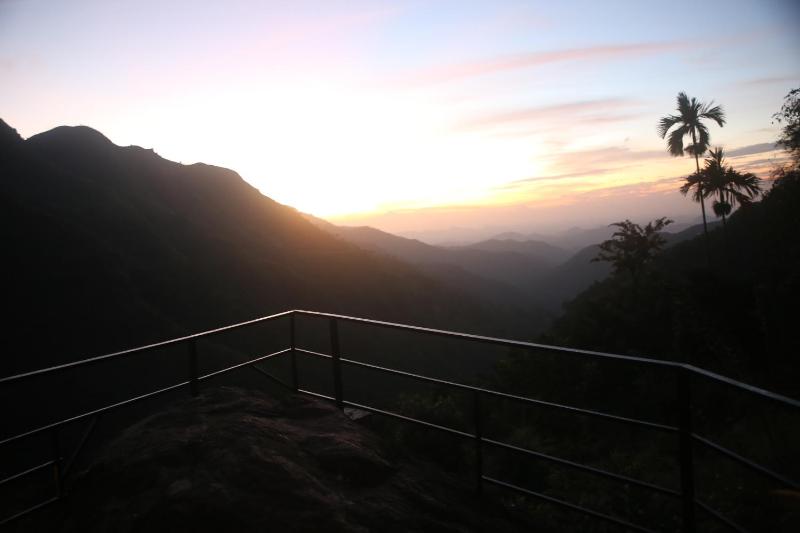 Jungle Cave - image 16