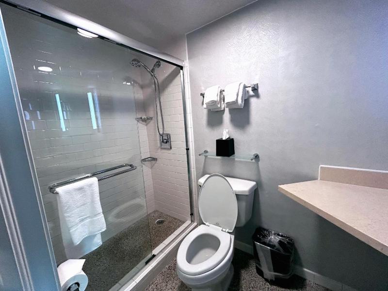 Deluxe King Room - Non-Smoking image 4