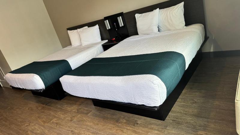 Queen Room with Two Queen Beds - Disability Access - Roll In Shower image 4