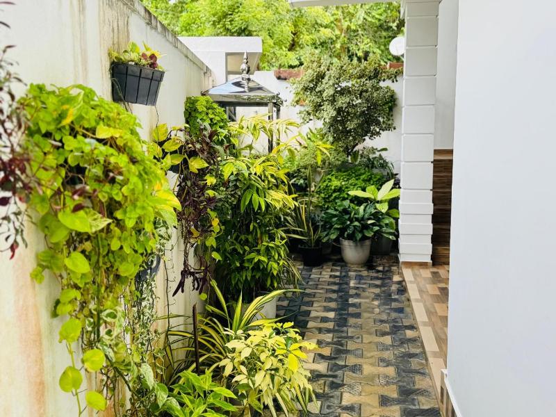 SMDT House - Weligama - image 6