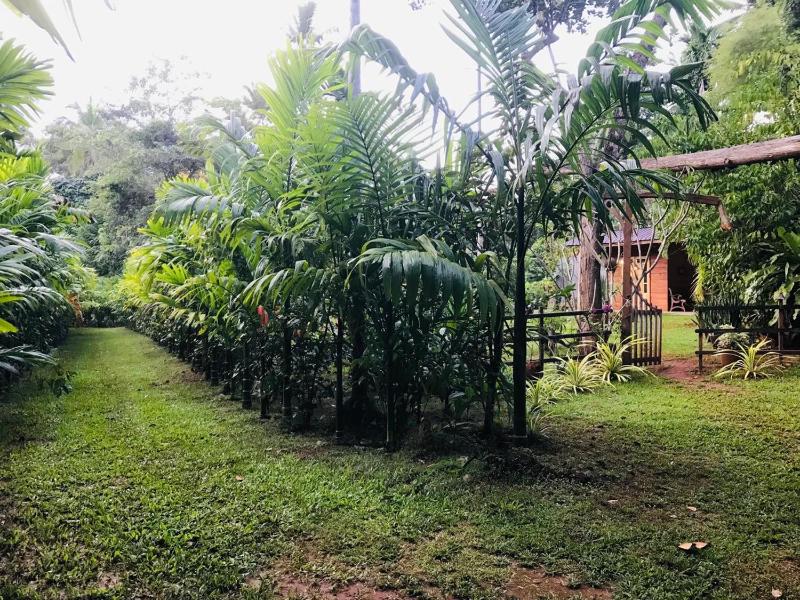 Pearl Garden Middeniya - image 18