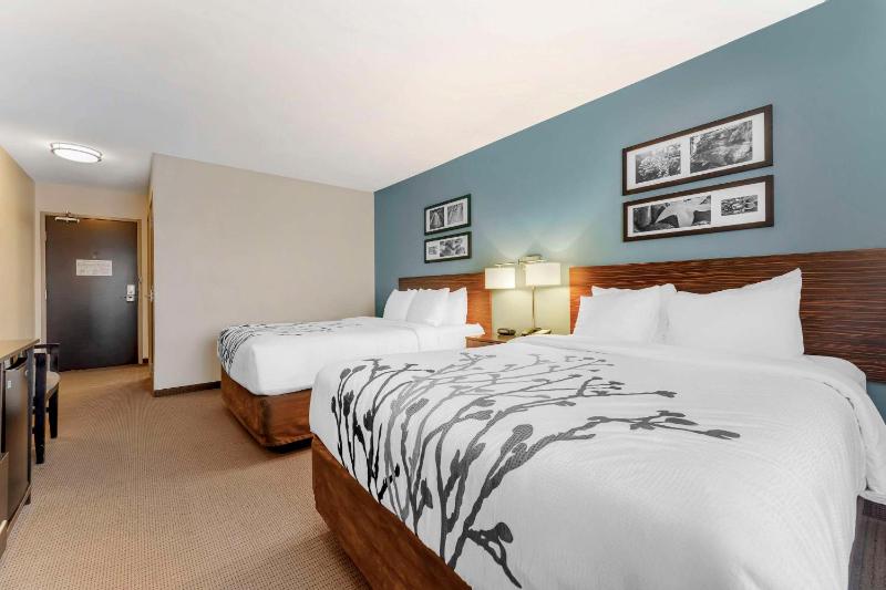 Queen Room with Two Queen Beds - Non-Smoking image 4