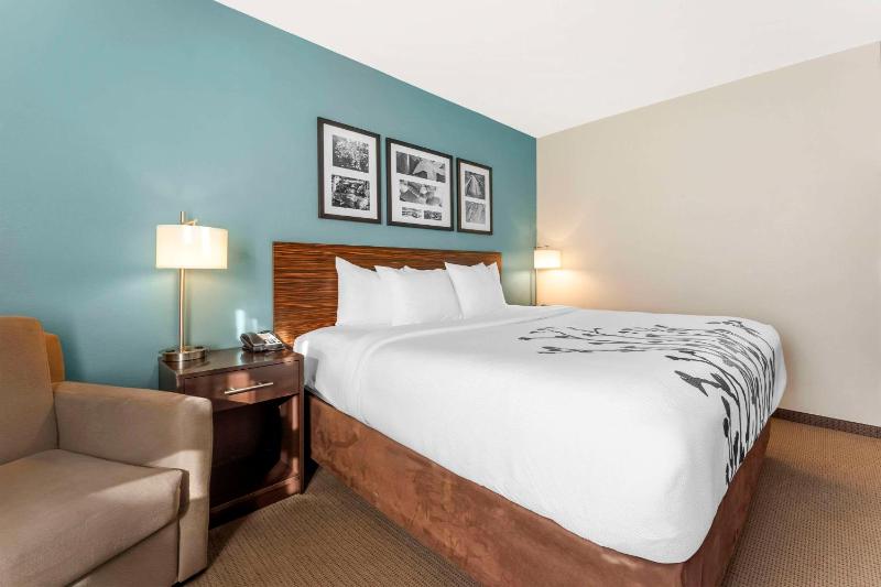King Room - Non-Smoking image 4