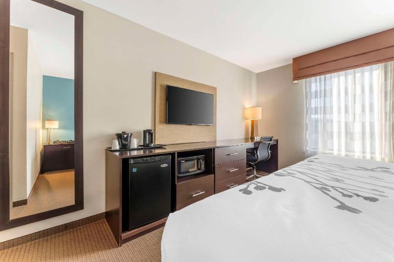 King Room - Non-Smoking image 3