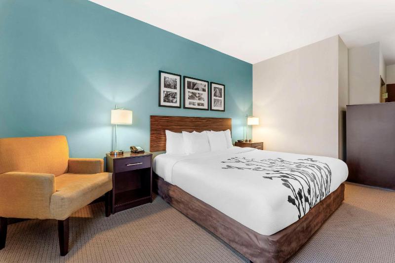 King Room - Accessible/Non-Smoking image 4