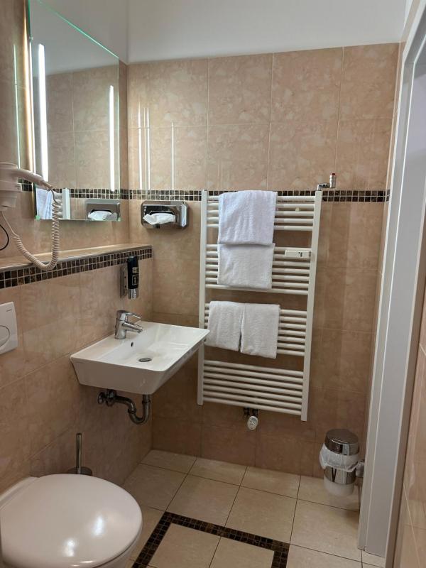 Superior Single Room image 3