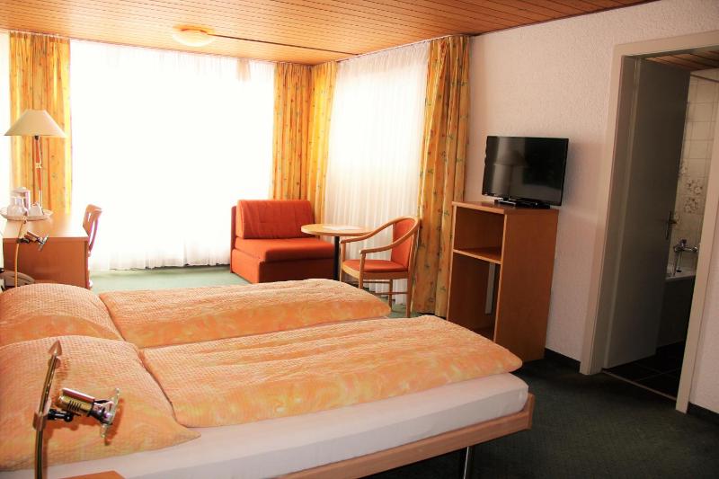 Deluxe Twin Room image 3