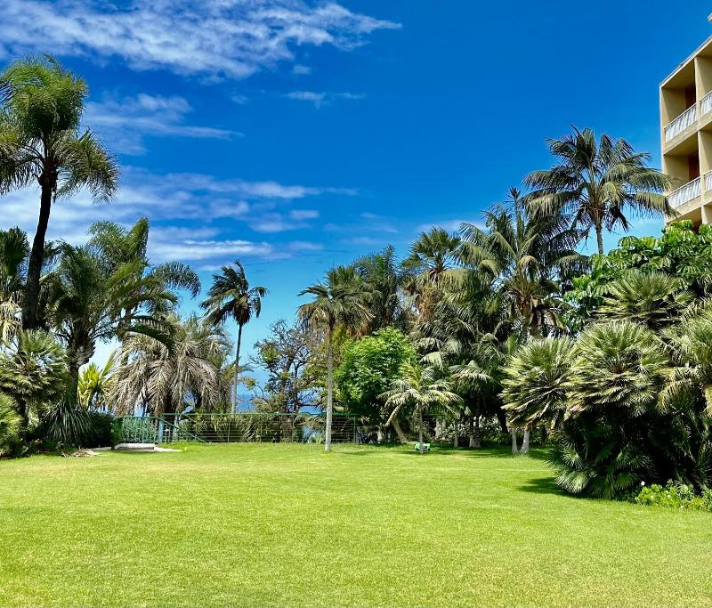 Hotel Tigaiga - image 12