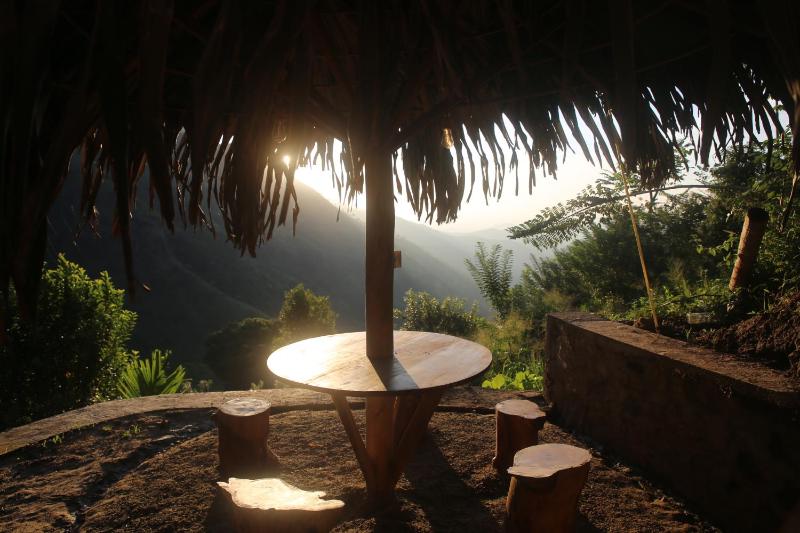 Jungle Cave - image 37