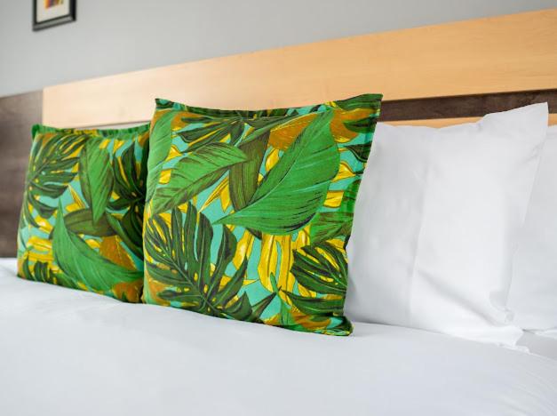 Downtown Oasis Suites - image 11
