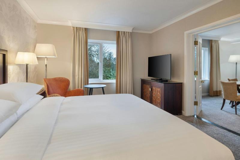 One-Bedroom King Suite with Sofa Bed  image 3
