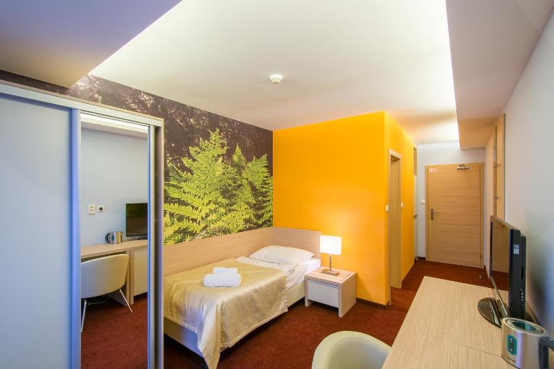Superior Single Room image 3