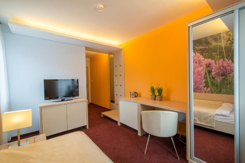 Superior Single Room image 2