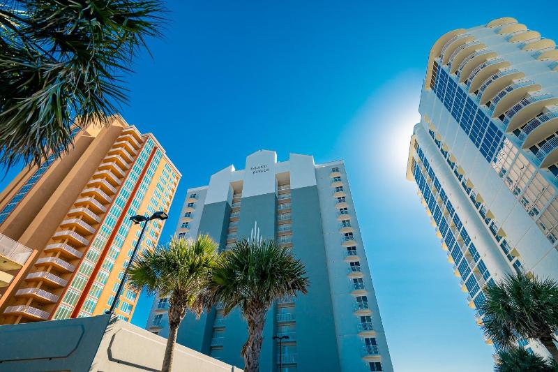 Island Royale 404 - image 4