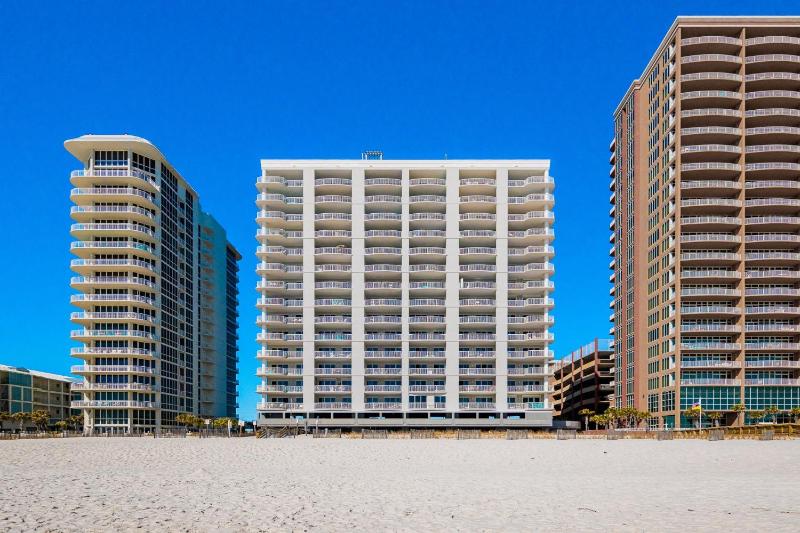 Island Royale 404 - image 7