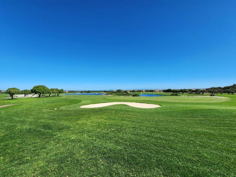 Estate Haven - image 7