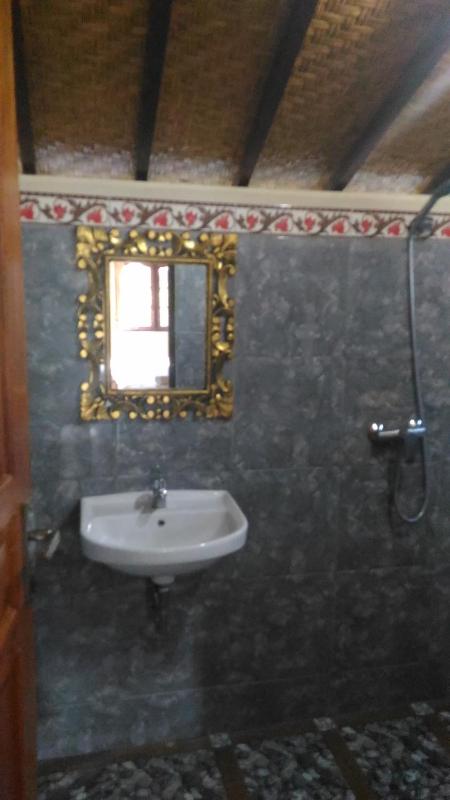 Shindu Home Stay - image 10