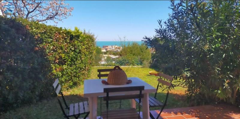 Ischia 54 - Casa Casoni - image 10