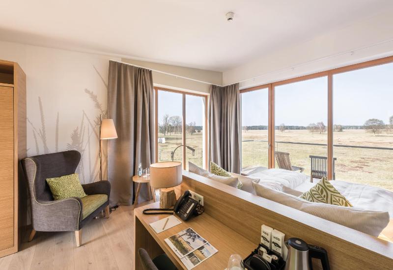 Superior Double Room image 3