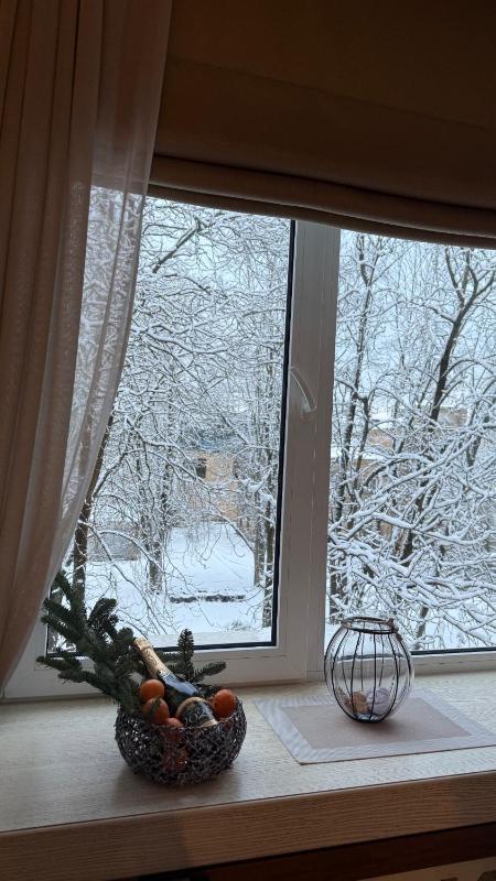 Cozy studio apartment in the center of Riga - image 9