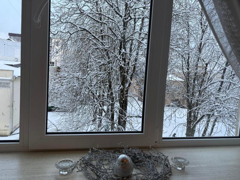 Cozy studio apartment in the center of Riga - image 4