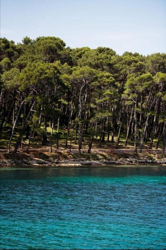 Apartments Mali Losinj (72) - image 23